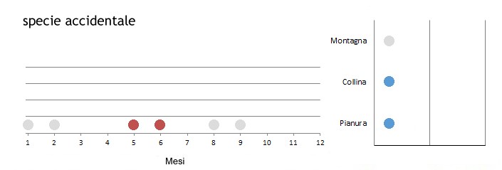 storos_grafici.jpg