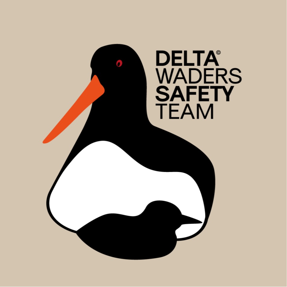 dwst_logo.jpg