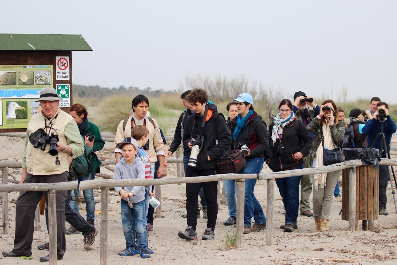 birders.jpg