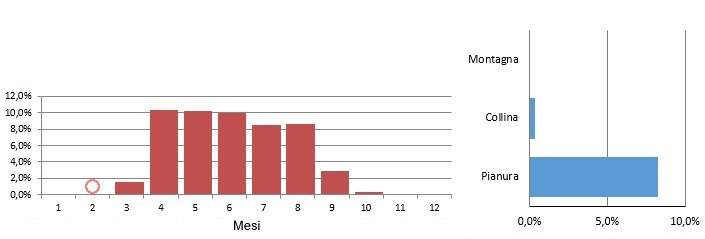 airros_grafici.jpg