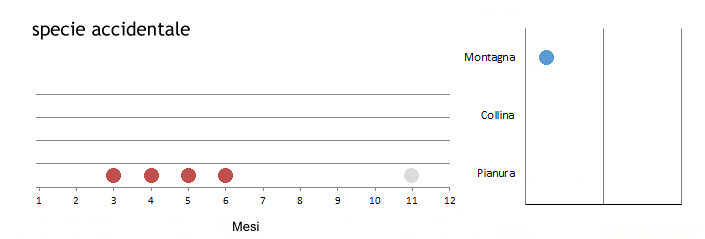 alldeu_grafici.jpg