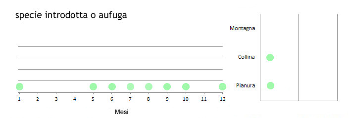 alzspa_grafici.jpg