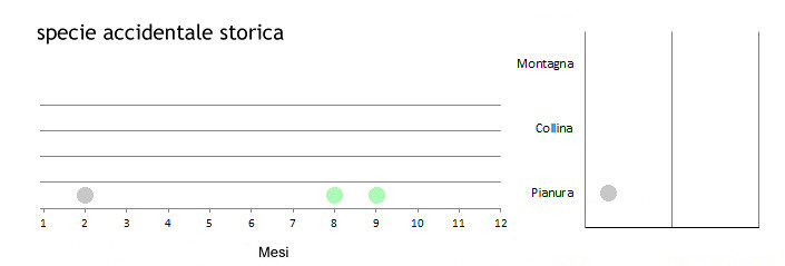 anamar_grafici.jpg