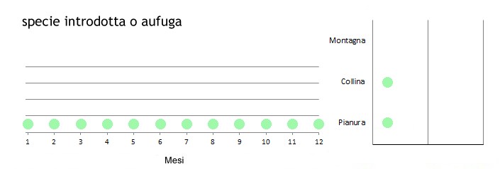 anamut_grafici.jpg