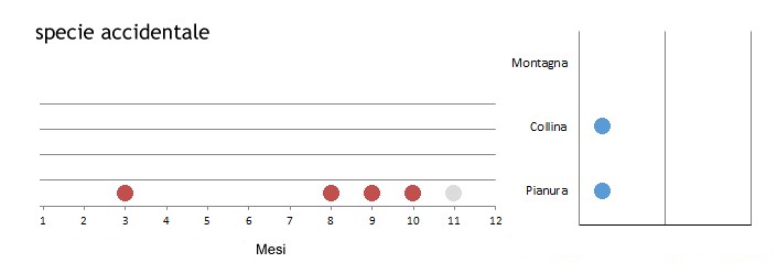 aquanmin_grafici.jpg