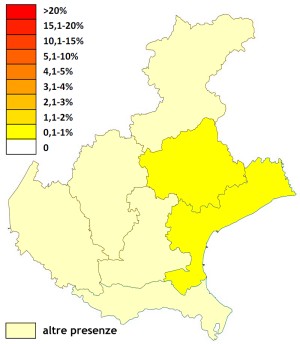 aqumin_veneto.jpg