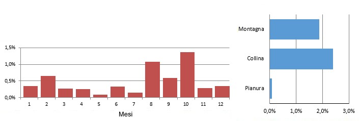astore_grafici.jpg
