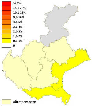 avecen_veneto.jpg