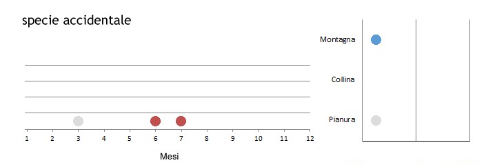 avvmon_grafici.jpg