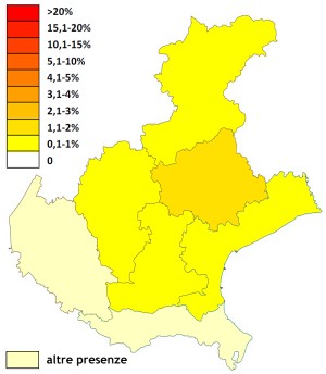 beccaccia_veneto.jpg