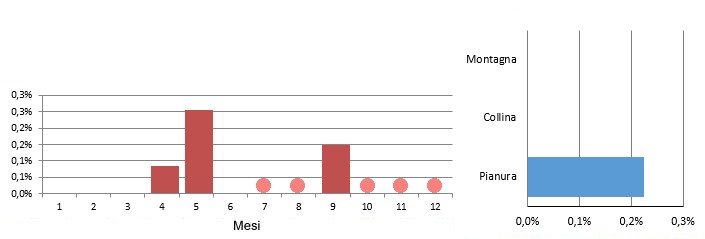 bermin_grafici.jpg