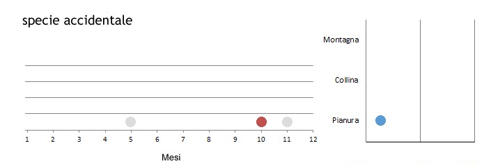 calandri_grafici.jpg