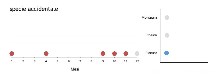 calmag_grafici.jpg