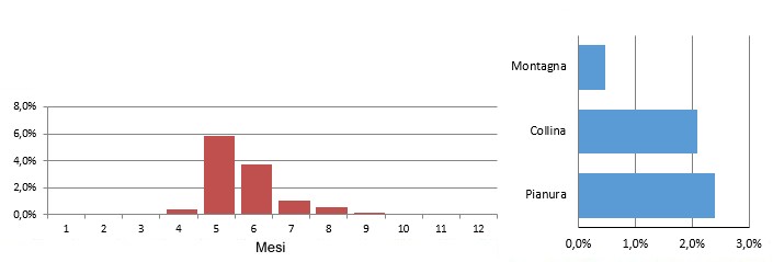 canapcom_grafici.jpg