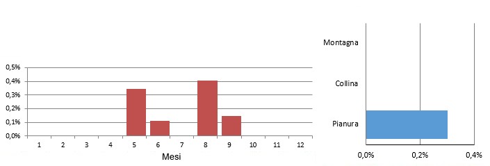 canapmag_grafici.jpg