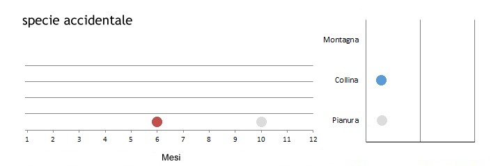 capovac_grafici.jpg
