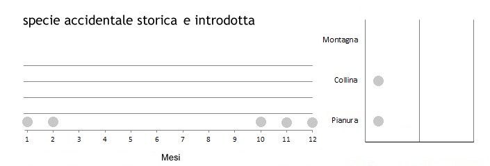 ciufdep_grafici.jpg