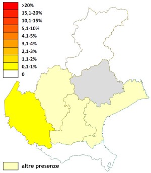crocco_veneto.jpg