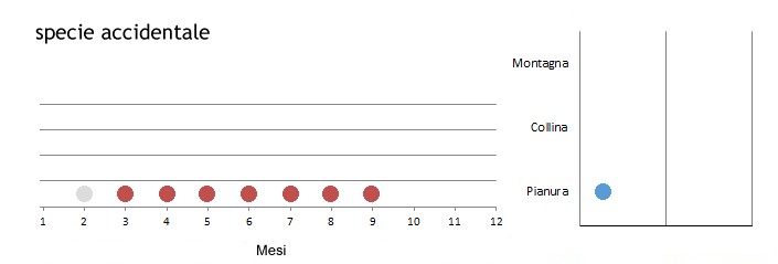 cucdac_grafici.jpg