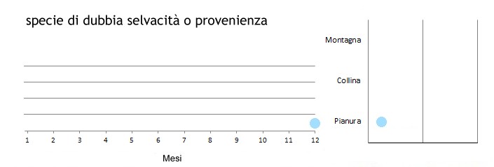 cucocc_grafici.jpg