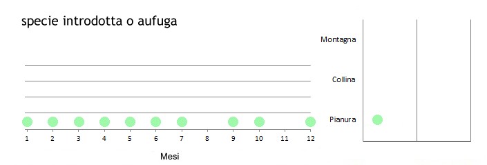 denful_grafici.jpg