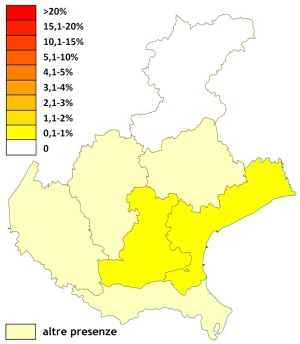 faldre_veneto.jpg