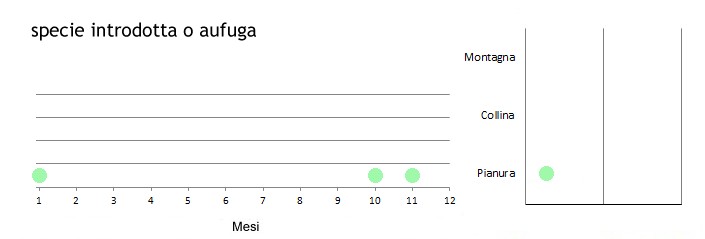 fendec_grafici.jpg