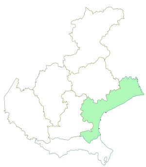 gallo_veneto.jpg