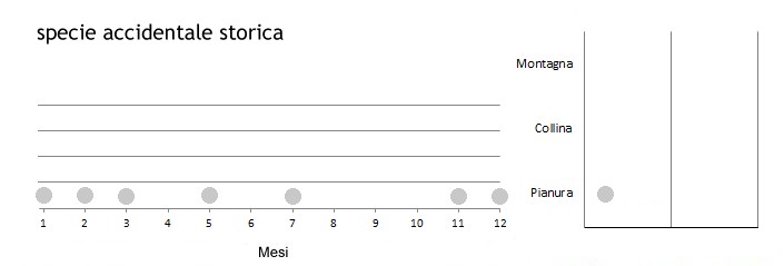 gazmar_grafici.jpg