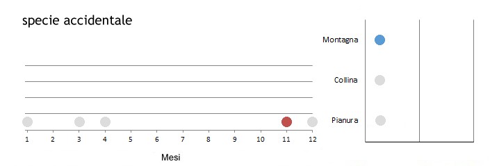 gracor_grafici.jpg