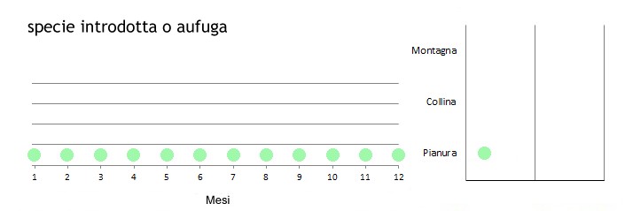 grucor_grafici.jpg