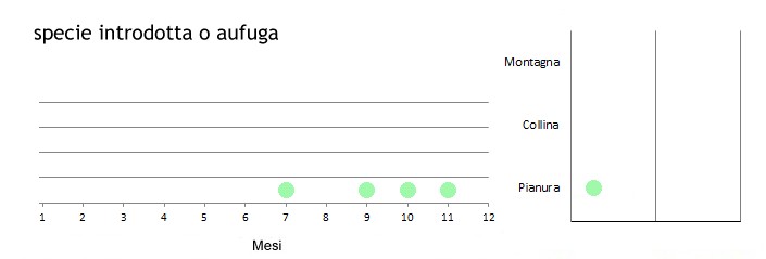 insdif_grafici.jpg