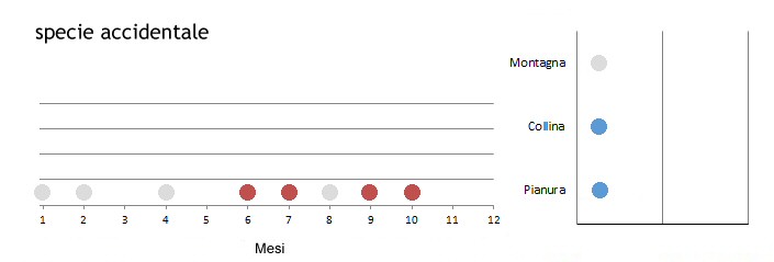 lanario_grafici.jpg