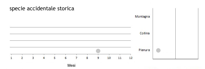locflu_grafici.jpg