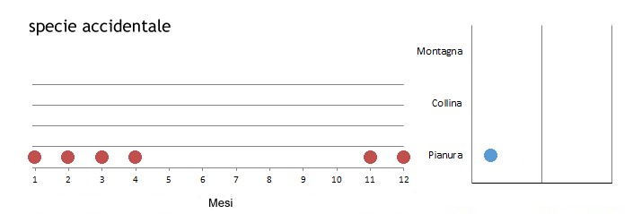 luidih_grafici.jpg