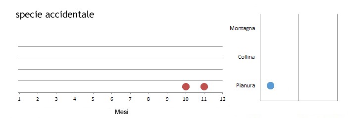 luifor_grafici.jpg