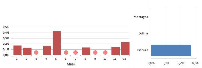 occhione_grafici.jpg
