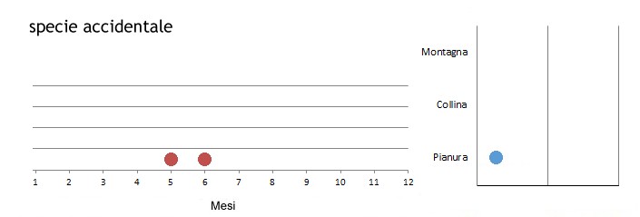 perdimor_grafici.jpg