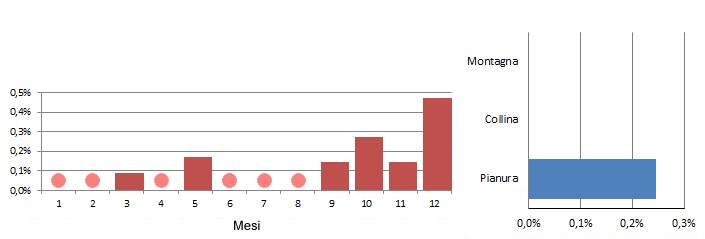 perros_grafici.jpg