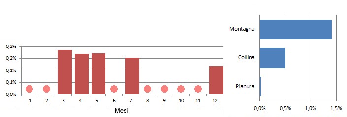piccen_grafici.jpg