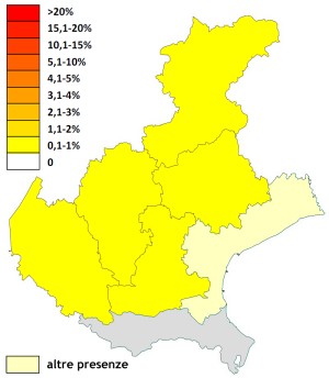 picmuraio_veneto.jpg
