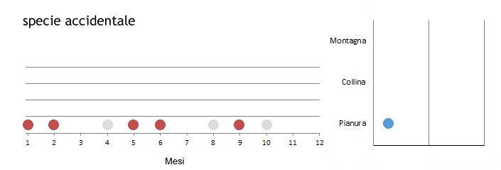 pirpidt_grafici.jpg