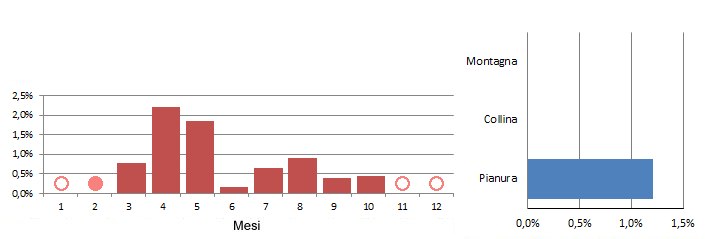 pitrea_grafici.jpg