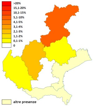rediqu_veneto.jpg