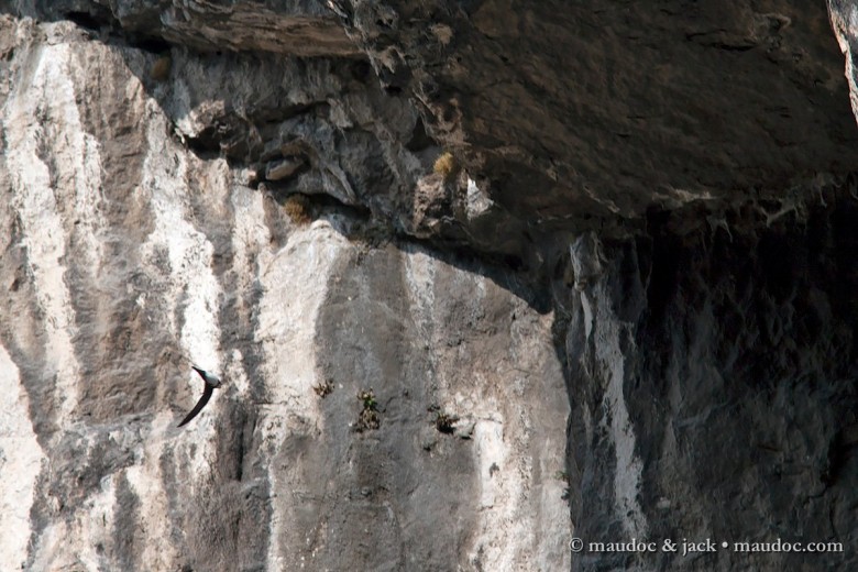 rondonemaggiore_parete_apr2012_.jpg