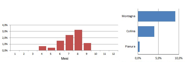 ronmag_grafici.jpg