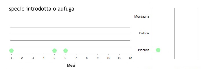 roscom_grafici.jpg
