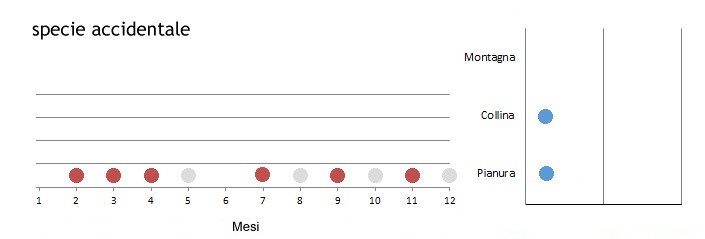 sacro_grafici.jpg