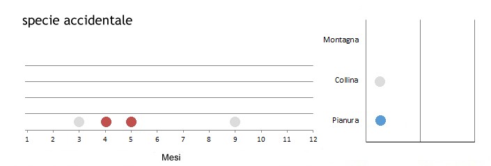 schgri_grafici.jpg