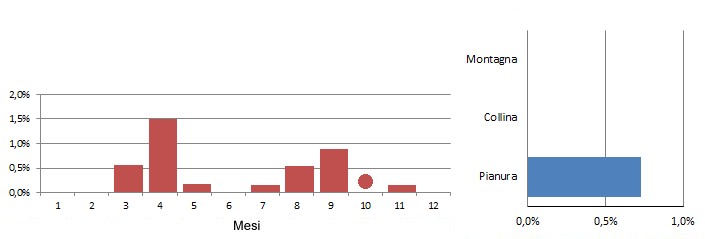 schiri_grafici.jpg